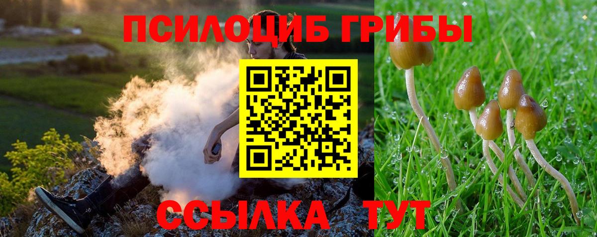Нягань  Псилоцибиновые грибы MAGIC MUSHROOMS  Вход с VPN 