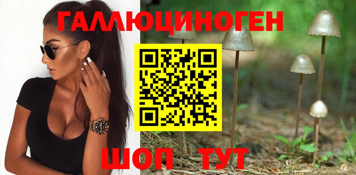 Псилоцибиновые грибы мицелий Нягань